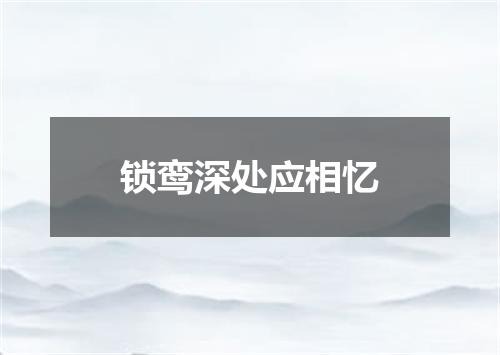 锁鸾深处应相忆