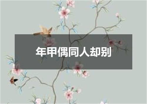 年甲偶同人却别