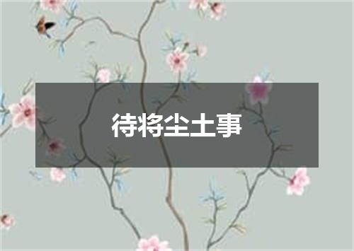 待将尘土事