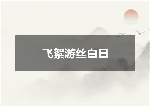 飞絮游丝白日