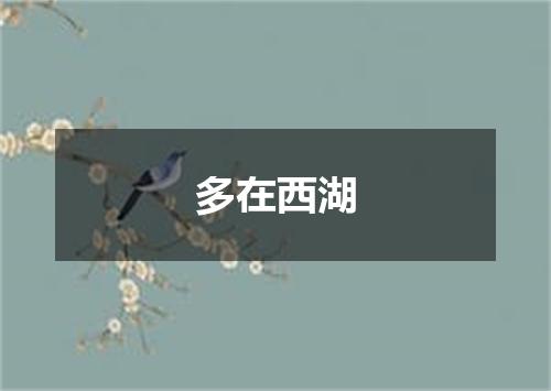 多在西湖