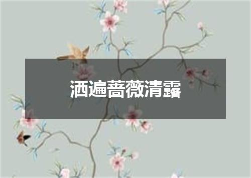 洒遍蔷薇清露
