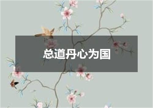 总道丹心为国