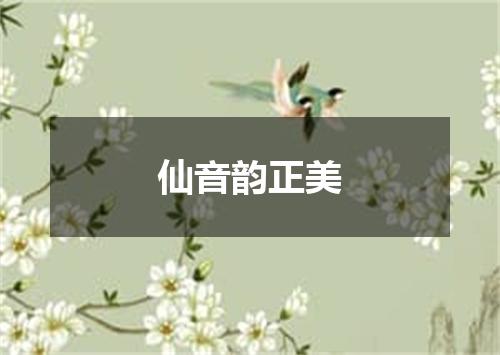 仙音韵正美