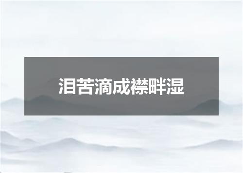 泪苦滴成襟畔湿