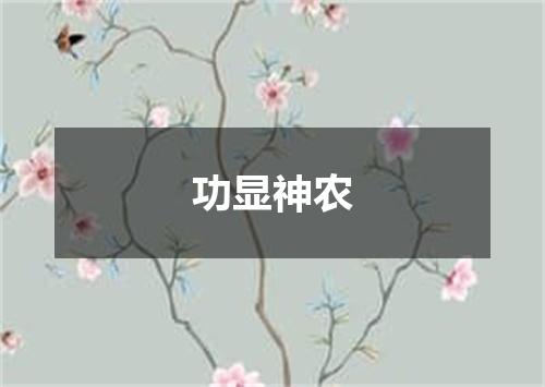 功显神农