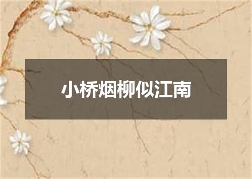 小桥烟柳似江南