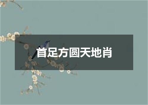首足方圆天地肖