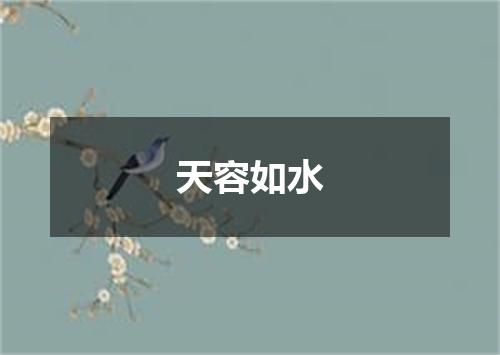 天容如水