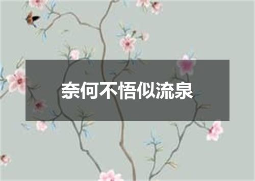 奈何不悟似流泉