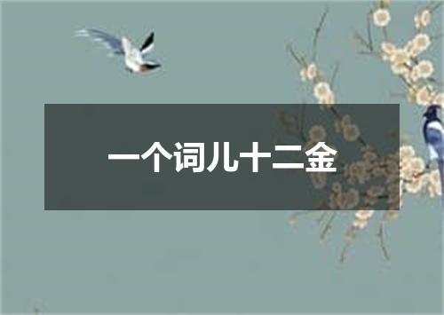 一个词儿十二金