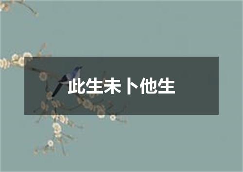 此生未卜他生