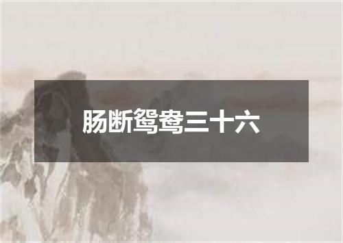 肠断鸳鸯三十六