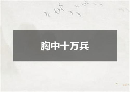 胸中十万兵