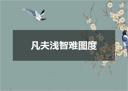 凡夫浅智难图度
