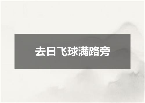 去日飞球满路旁