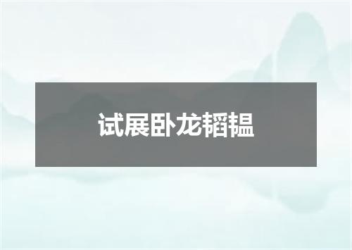 试展卧龙韬韫