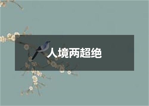 人境两超绝