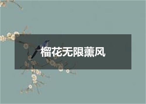榴花无限薰风