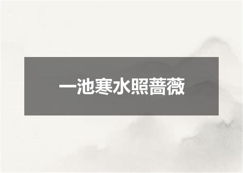 一池寒水照蔷薇