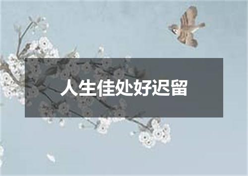 人生佳处好迟留