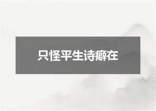 只怪平生诗癖在