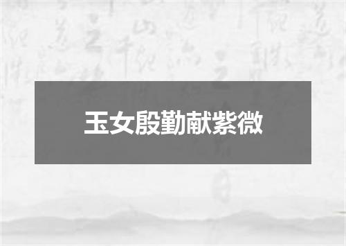 玉女殷勤献紫微