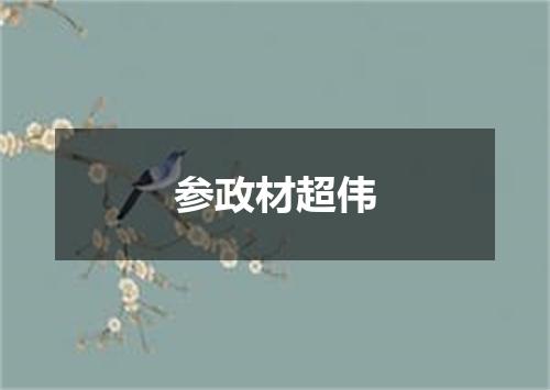 参政材超伟