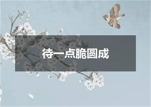 待一点脆圆成