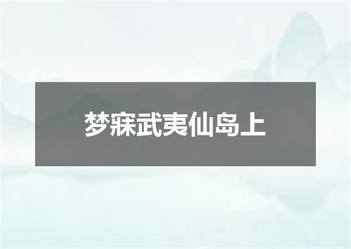 梦寐武夷仙岛上
