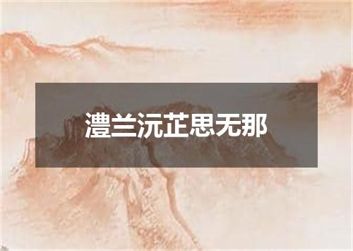 澧兰沅芷思无那