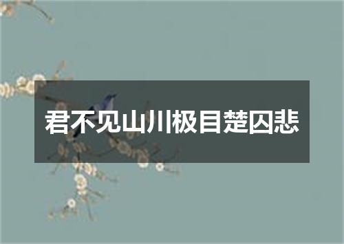 君不见山川极目楚囚悲
