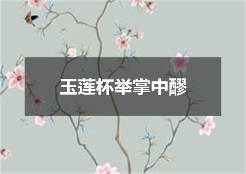玉莲杯举掌中醪