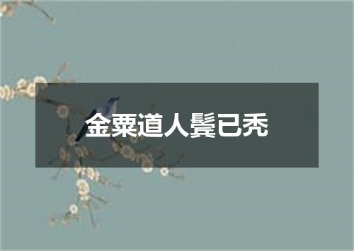 金粟道人鬓已秃