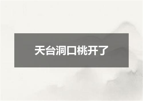 天台洞口桃开了
