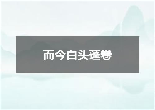 而今白头蓬卷
