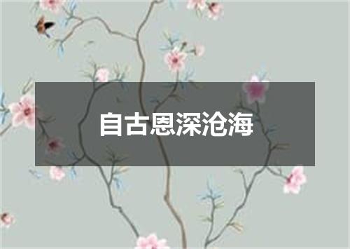 自古恩深沧海