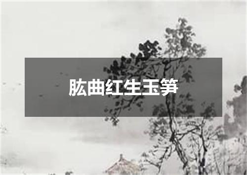 肱曲红生玉笋