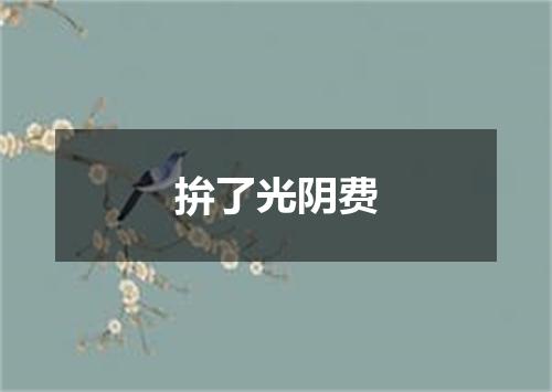 拚了光阴费