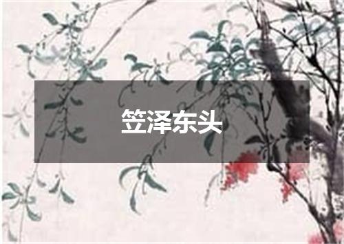 笠泽东头
