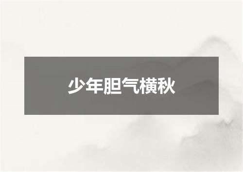 少年胆气横秋