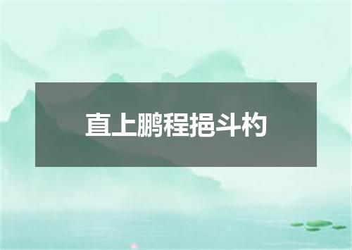 直上鹏程挹斗杓