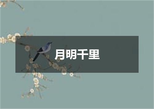 月明千里