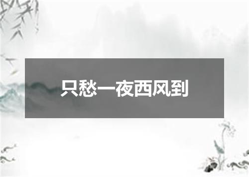 只愁一夜西风到