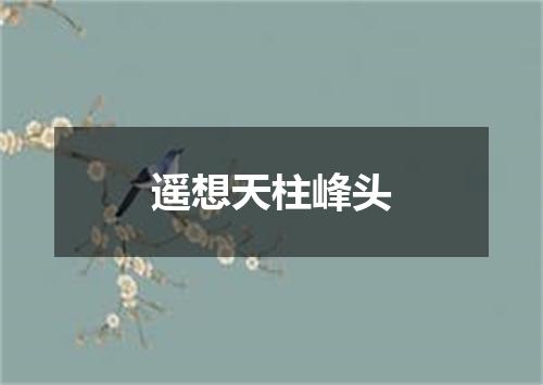 遥想天柱峰头