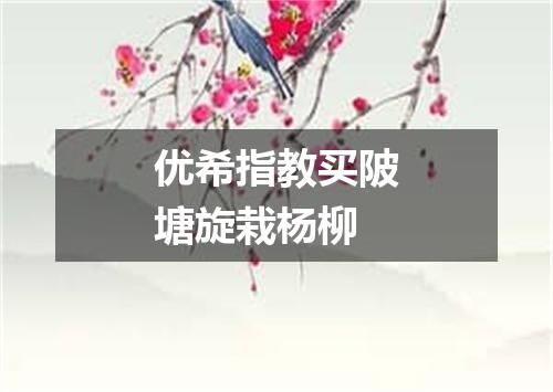 优希指教买陂塘旋栽杨柳