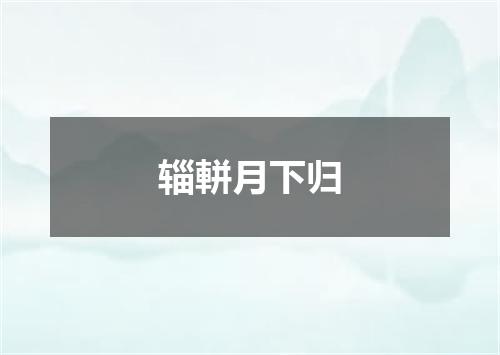 辎軿月下归