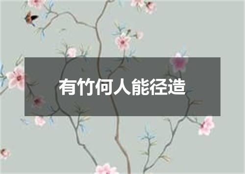 有竹何人能径造