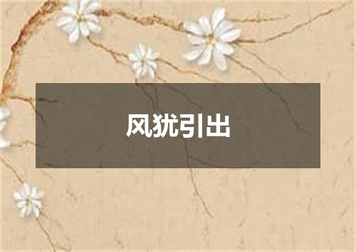 风犹引出