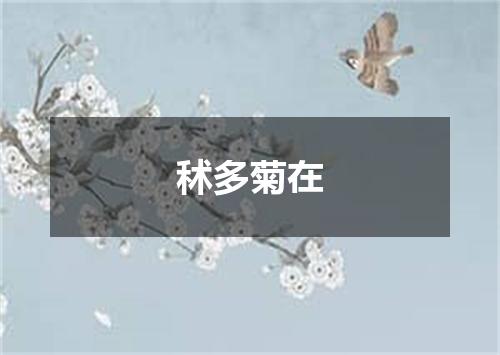 秫多菊在
